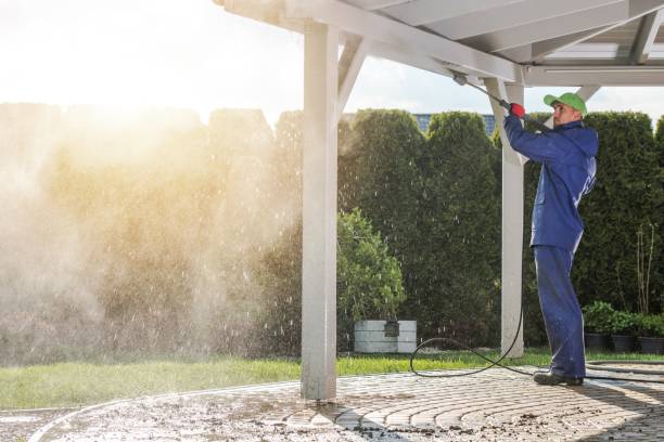 Animal Enclosure Cleaning in East Orange, NJ