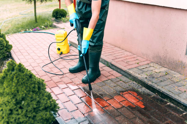Best Building Exterior Washing  in East Orange, NJ